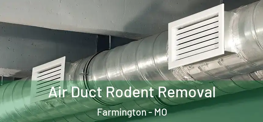Air Duct Rodent Removal Farmington - MO