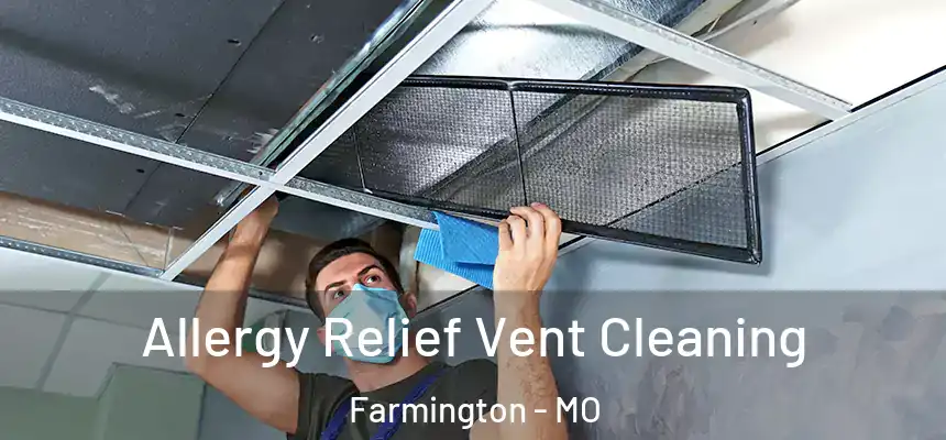  Allergy Relief Vent Cleaning Farmington - MO