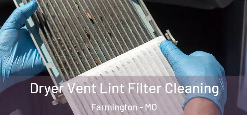  Dryer Vent Lint Filter Cleaning Farmington - MO