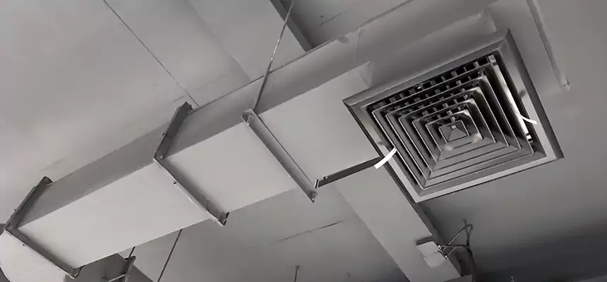 Our Pest Removal From Ducts Services in Farmington, MO