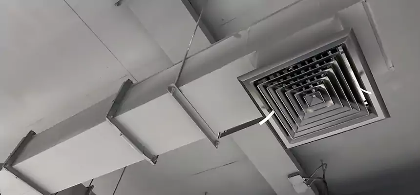 Our Rodent Droppings In Vents Services in Farmington, MO