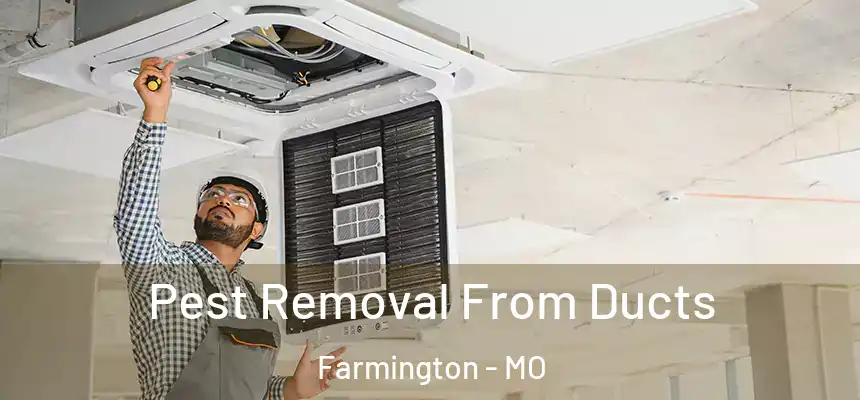  Pest Removal From Ducts Farmington - MO