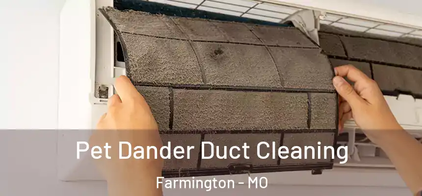  Pet Dander Duct Cleaning Farmington - MO