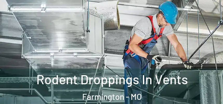  Rodent Droppings In Vents Farmington - MO