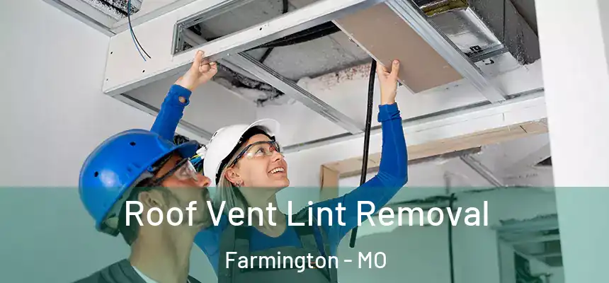  Roof Vent Lint Removal Farmington - MO