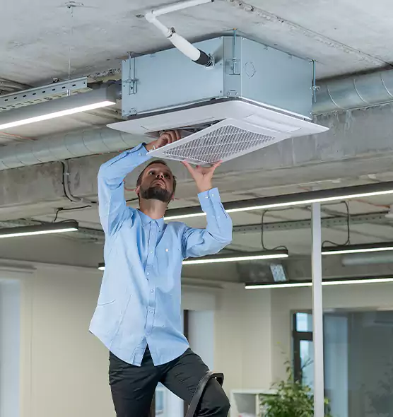Advanced Rodent Droppings In Vents in Farmington, MO