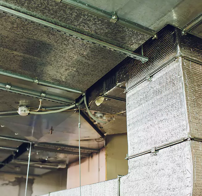 Why Homeowners & Businesses Trust Us in Farmington, MO?